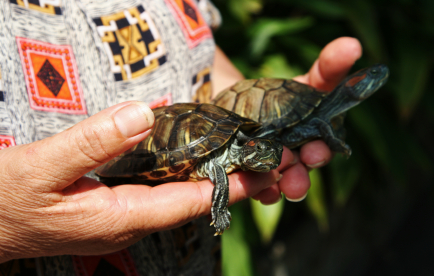 Zoologist Job Description, Career as a Zoologist, Salary, Employment